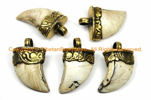 Tibetan Solid Naga Conch Shell Bear Claw Necklace Jewelry Pendant with Handcarved Tibetan Brass Cap- Boho Ethnic Gothic Tibet Nepal- WM6105