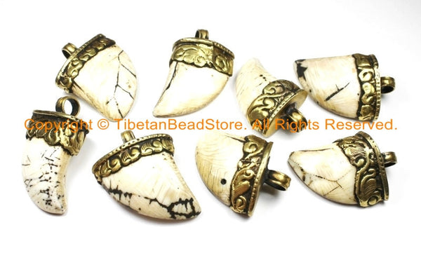 Tibetan Solid Naga Conch Shell Bear Claw Necklace Jewelry Pendant with Handcarved Tibetan Brass Cap- Boho Ethnic Gothic Tibet Nepal- WM6283