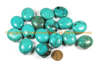 2 BEADS Tibetan Turquoise Beads - Large Oval Turquoise Beads - Ethnic Turquoise Beads- Tibetan Beads Tibet Beads- B3001-2
