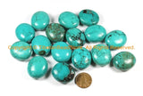 2 BEADS Tibetan Turquoise Beads - Large Oval Turquoise Beads - Ethnic Turquoise Beads- Tibetan Beads Tibet Beads- B3001-2