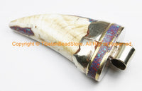 LARGE Tibetan Solid Naga Conch Shell Horn Pendant with Brass Cap & Stone Inlays - Boho Ethnic Tribal Horn Tusk Tooth Amulet - WM7090