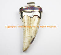 LARGE Tibetan Solid Naga Conch Shell Horn Pendant with Brass Cap & Stone Inlays - Boho Ethnic Tribal Horn Tusk Tooth Amulet - WM7090