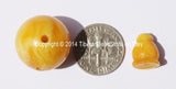 5 SETS Tibetan Amber Copal Resin Guru Bead Sets - Guru Beads & Bead Caps - 18mm - Mala Making Supplies - GB30-5