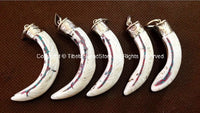 1 PENDANT - Tibetan Conch Shell Horn Tooth Pendant with Tibetan Silver Cap, Turquoise & Coral Inlays - Conch Tibetan Horn - WM2720C-1