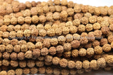 10 BEADS 9mm Natural Rudraksha Seed Beads - 9mm Size Nepalese Tibetan Rudraksha Beads Mala Making Supplies by TibetanBeadStore- LPB67-10