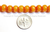 10 BEADS BIG 11mm Size Tibetan Resin Beads- Mala Bracelet Making Supplies Light Weight Amber Color Resin Beads- Nepalese Tibetan LPB115XB-10