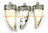LARGE Tibetan Solid Naga Conch Shell Horn Pendant with Handcarved Repousse Metal Cap- Boho Ethnic Tribal Horn Tusk Tooth Amulet - WM6125C