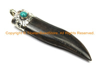 Boho Ethnic Tribal Tibetan Horn Tusk Tooth Chili Chilli Pepper Shape Horn Pendant with Repousse Hand Carved Tibetan Silver Metal Cap- WM6102