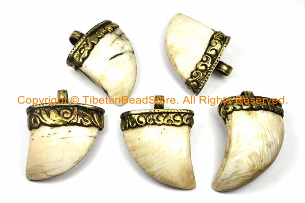 Tibetan Solid Naga Conch Shell Bear Claw Necklace Jewelry Pendant with Handcarved Tibetan Brass Cap- Boho Ethnic Gothic Tibet Nepal- WM6107