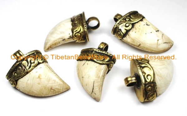 Tibetan Solid Naga Conch Shell Bear Claw Necklace Jewelry Pendant with Handcarved Tibetan Brass Cap- Boho Ethnic Gothic Tibet Nepal- WM6285